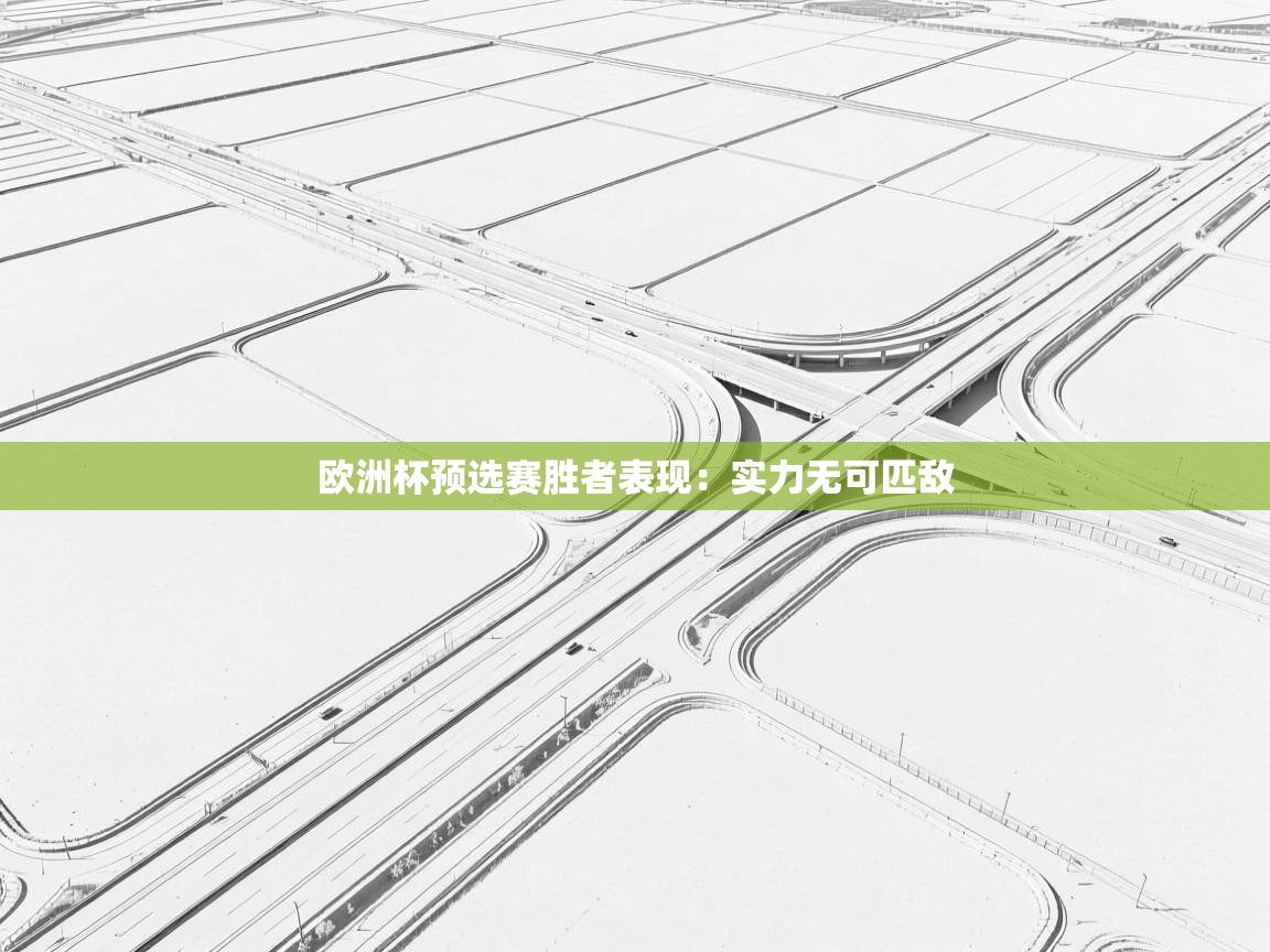 欧洲杯预选赛胜者表现：实力无可匹敌  第1张