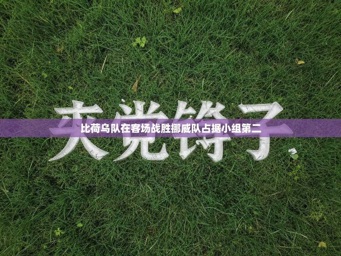 比荷乌队在客场战胜挪威队占据小组第二  第2张